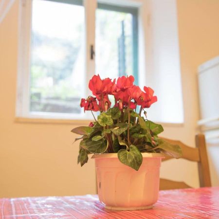 Apartman Juricic Labin  Exterior foto