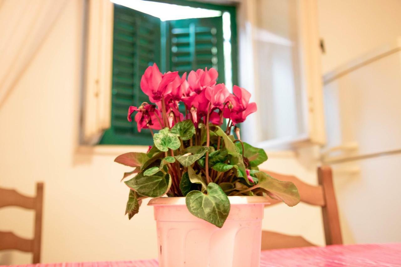 Apartman Juricic Labin  Exterior foto